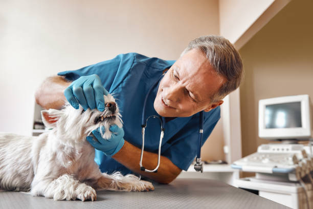 Best Walk-In Emergency Dentist in Groveport, OH